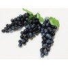 V517N Grape Sample Realistic Food Sample Fruit Fruit Display Ornament