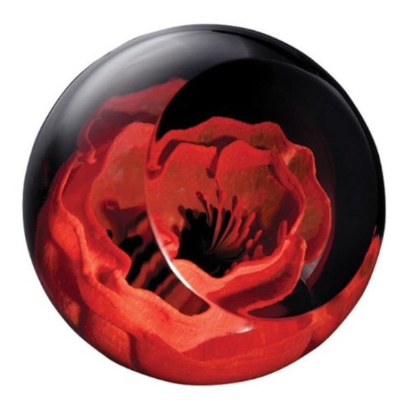 Caithness Glass Remembrance Poppy Paperweight | Red | 64mm x