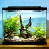 Resin Simulation Driftwood Aquarium Decor, Fish Tank Landscape Ornament Hideout