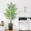 Keeplush 6ft Tall Fake Palm Tree with 18 Trunks and