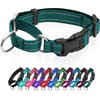 Collares reflectantes para perro de martingala. Collar para perro con