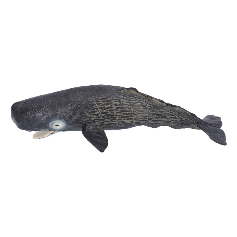 Realistic Sperm Whale Replica Simulated Marine Animal Model Educational Collector