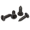 Black Number Plate Screw Head Stainless Steel Screws with Rounded