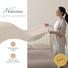 Carressa Linen 100% Egyptian Cotton Sheets - 1500 Thread Count 4 PC Queen Sheet Set Egyptian Cotton, Sateen Luxury Sheets Queen Size, High Thread Count Sheet, 19" Deep Pocket - Taupe