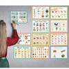 YIYEE 14 Laminating Nursery English Phonics Posters for Classrooms |