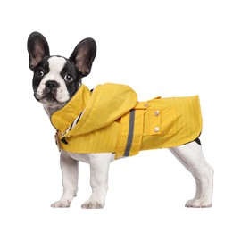 Dog raincoat puppy rain jacket with removable hood for small medium breeds reflective strap storage pockets in cold day Yellow M