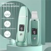 Limpiador Ultrasónico Portatil Skin Scrubber Limpieza Facial