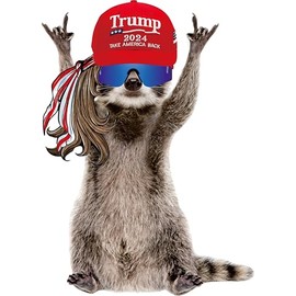 STICKY DUDE Rocking Raccoon Sticker, Funny Raccoon Cute Car Decal, 5 inches - Yeti Cup Vinyl Cooling Box, Waterproof Sticker, Decal Car Laptop Wall Window Bumper Sticker (F)