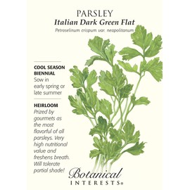 Parsley Italian Flat Leaf Certified Organic Seeds