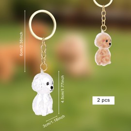 Sinbana 2pcs Dog Hair Collector Keychains, Acrylic Pet Fur Storage Memorial Keychain Cute Teddy Style Pet Hair Keyring Charm for Dogs & Cats (Transparent)