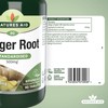 Natures Aid Ginger Root 500 mg 90 Tablets (Botanical Supplement,