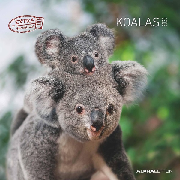 Alpha Edition - Koalas 2025 Brochure Calendar, 30 x 30
