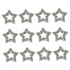 CAXUSD 12pcs Star Shaped Nail Charms Decorative Rhinestone Nail Art