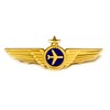 Airlines Pilot Wings Captains Badge Wing Pin