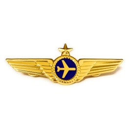 Airlines Pilot Wings Captains Badge Wing Pin