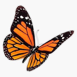 Monarch Butterfly Sticker Bumper Sticker Vinyl Decal 5"