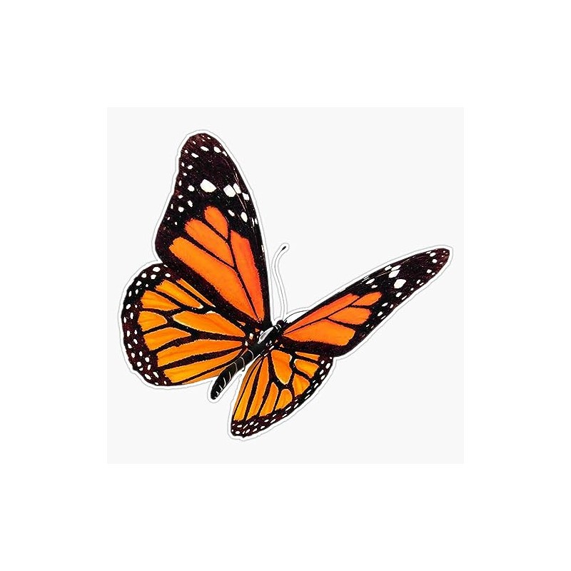 Monarch Butterfly Sticker Bumper Sticker Vinyl Decal 5"