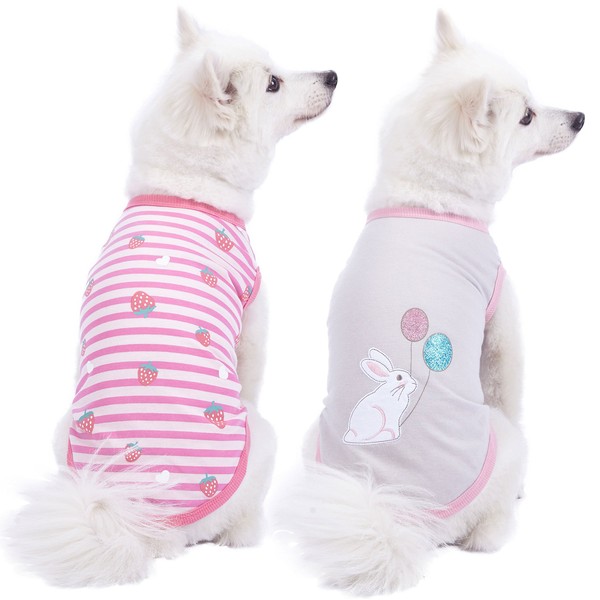 Blueberry Pet Pack of 2 Soft & Comfy Wonderland Striped