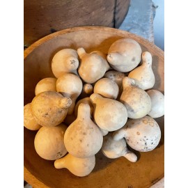 Handmade Primitive Dried Mini Spinner Gourd Bowl Fillers Bag of 10/20/30 - 10 Spinner Gourds
