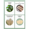 Esponjas naturales de lufa WOCATS WMFQ06 paquete de 6 para