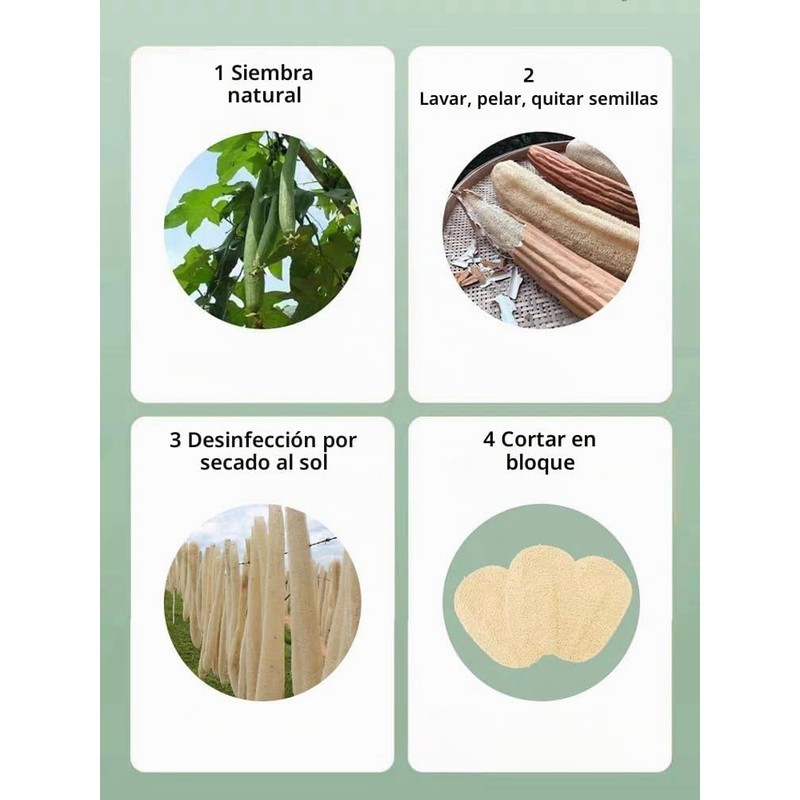 Esponjas naturales de lufa WOCATS WMFQ06 paquete de 6 para