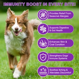 CLFJLXYX Hunde-Allergiehilfe | Juckreizlinderung für Hunde | Juckreizlinderung & Immunstärkung | Stoppt Kratzen, Lecken, Haarausfall | Hypoallergen bei saisonalen Allergien | 150 STK (1Pcs)