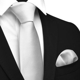 GUSLESON Silver Tie Set for Men Formal Business Silk Blend Necktie and Pocket Square Set for Wedding (6110-45)