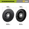 GRAFF Premium Set Wood Cutter Rasp Disc 125 mm for