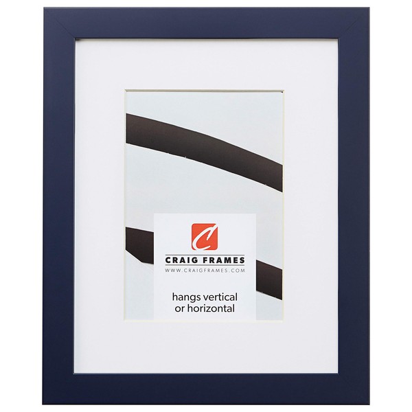 Craig Frames Confetti, 18 x 24 Inch Modern Navy Blue