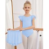 Zaclotre Ballet Leotards for Girls Toddler Ruffle Sleeve Crisscross Back