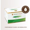 BodyFokus BeautyFormel Collagen Plus - Collagen Powder from Pasture and