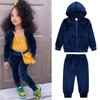 Toddler Girls Fleece Hoodies Tracksuits Zip-up Sweatshirt Jogger Sweatpants Active