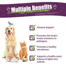 Amber NaturalZ Vibactra Plus Herbal Supplement for Dogs, Cats, Birds, Guinea Pigs, and Rabbits | Herbs for Immune Health and Yeast Balance | 1 Fluid Ounce Glass Bottle