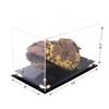 Better Display Cases Clear Acrylic Baseball Catchers Glove Display Case