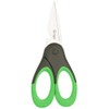 Richardson Sheffield Scissors, Green, One Size