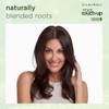 Clairol Root Touch-Up by Natural Instincts Permanent Hair Dye, 7