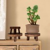 Develoo Wood Plant Riser Stands,Mini Round Stool Bonsai Holder Potted
