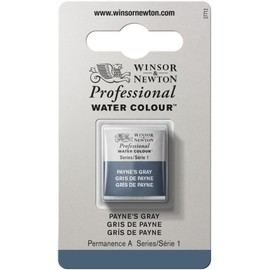 Winsor & Newton Professional Water Colour Paint, Half Pan, Payne's Gray
