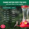 Perky-Pet 476 Glass 20-Ounce Hummingbird Feeder