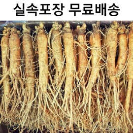 국내산 5년근 인삼 12-15뿌리 금산인삼 Domestic 5-Year-Old Ginseng 12-15 Roots Geumsan Ginseng, 500g × 500g (9-11뿌리) 종이포장 × 1개