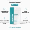 DR.VEGAN Choline, 600mg | 60 x 300mg Vegan-Friendly Capsules |