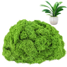 Anglekai 17.6 oz Artificial Moss for Crafts, Decorative Artificial Fake Green Moss for Plants Indoor(500 g) (17.6, Ounces)