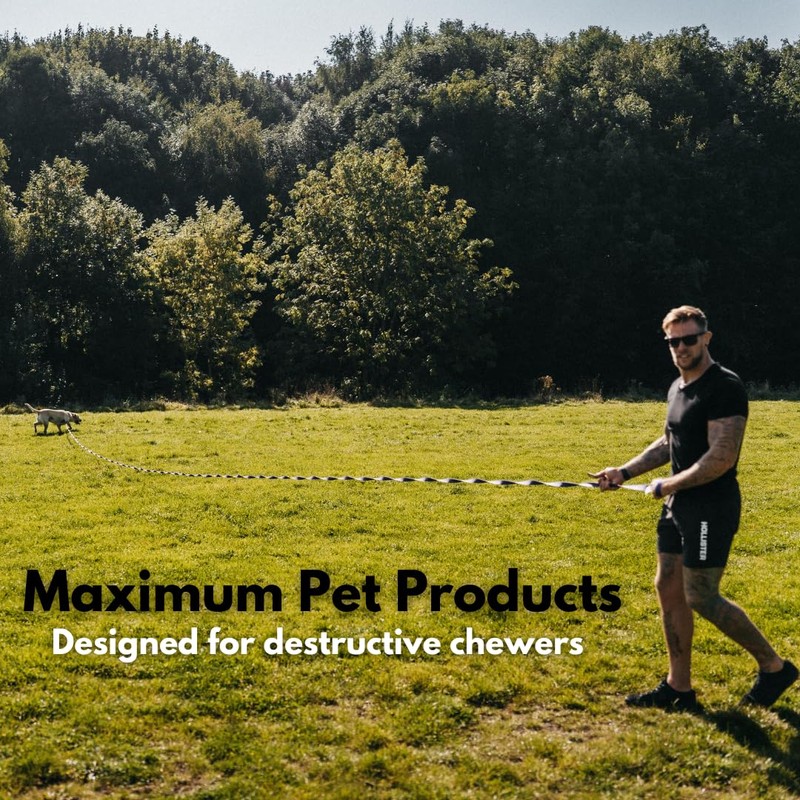 Maximum Pet Products Pink Dog Training Lead 50ft/15m