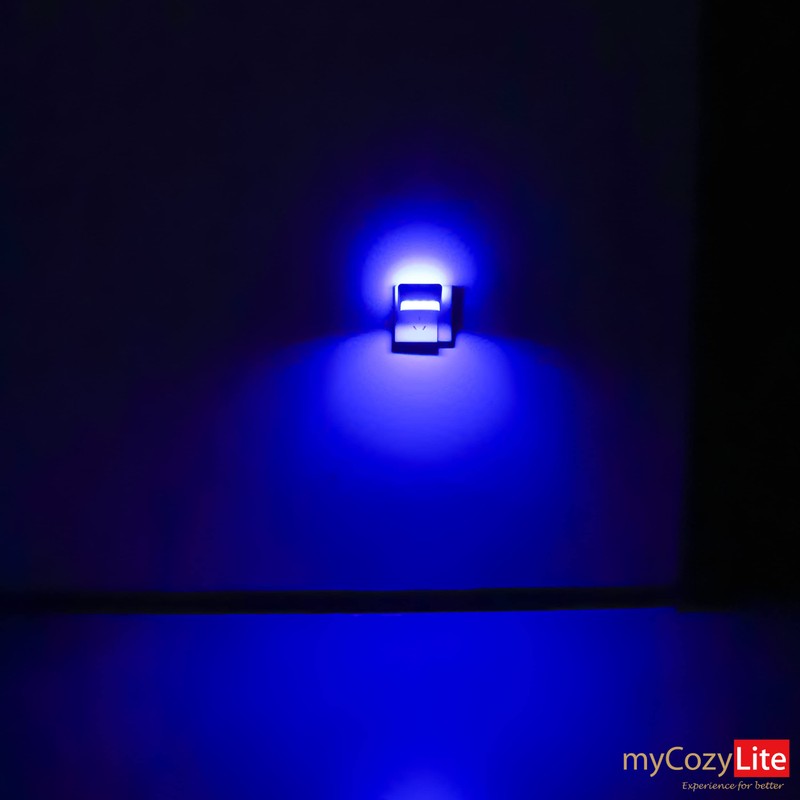 Dimmable Blue Night Lights, Dual Light, Adjustable LED Night Light