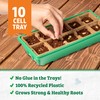 Back to the Roots 10-Cell Greenhouse Germination Kit | Includes