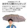 WEB Exclusive 10342 3 Second Urawaza Umbrella, Rain Umbrella, Large,