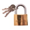 Amtech T1300C 50mm Solid Brass Padlock, Small Padlock with Keys