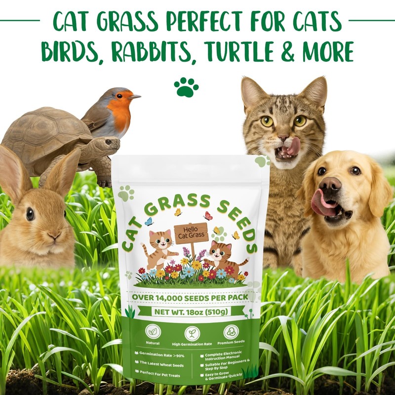 18oz Cat Grass Seeds Bulk - Over 14000+ Premium Cat