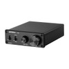 TPA3116D2 100W Subwoofer Amplifier Class D HiFi Mono Digital High