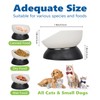 Raised Cat Bowls Whisker Friendly Melamine Elevated Cat Food Bowl